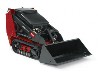 Toro Dingo Rental